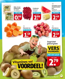 Hoogvliet folder week 31 Pagina 9