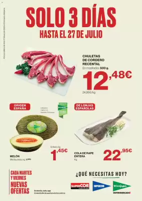 Hipercor (válido hasta el 27-07)