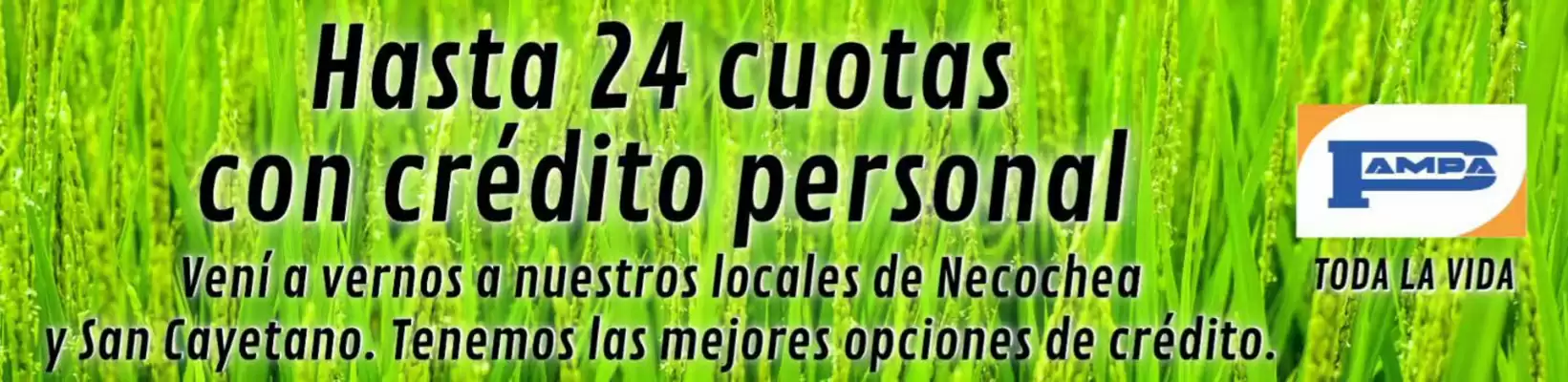 Pampa Hogar (válido hasta 2-08)
