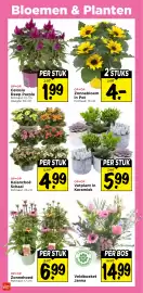 Vomar Voordeelmarkt folder week 31 Pagina 28