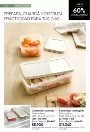 Catálogo Avon Página 13