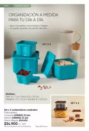 Catálogo Avon Página 15