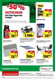 Der Grissemann Flugblatt woche 31 Seite 12