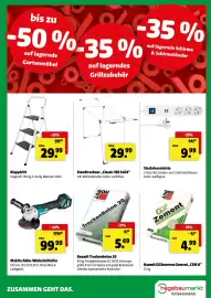 Der Grissemann Flugblatt woche 31 Seite 11