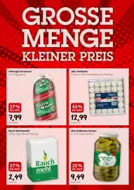 Der Grissemann Flugblatt woche 31 Seite 9