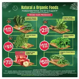Healthy Planet flyer Page 7