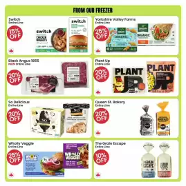 Healthy Planet flyer Page 8