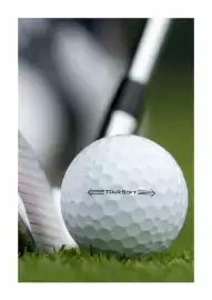 The Golfers Club catalogue Page 30