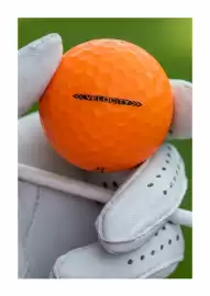 The Golfers Club catalogue Page 33