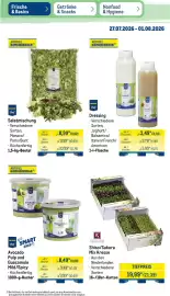 METRO Prospekt woche 31 Seite 11