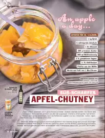 HIT Magazin | Puresleben Seite 28