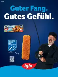 HIT Magazin | Puresleben Seite 36