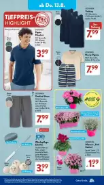 Aldi Süd Prospekt woche 33 Seite 16