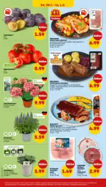 PENNY Prospekt woche 31 Seite 38