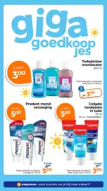 Trekpleister folder Pagina 6