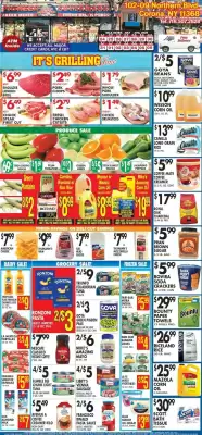 Pioneer (valid until 6-08)