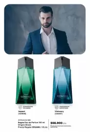 Catálogo Avon Página 100