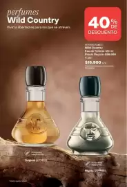 Catálogo Avon Página 104