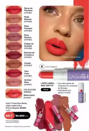 Catálogo Avon Página 47