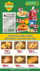 Folleto Bodega Aurrerá semana 30 Página 1