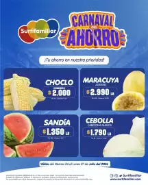 Catálogo Surtifamiliar Página 4
