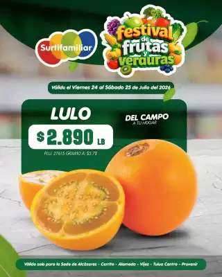 Surtifamiliar (válido hasta 25-07)