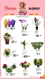 Encarte Giassi Supermercados semana 30 Página 2