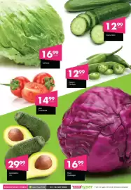 Save catalogue Page 5
