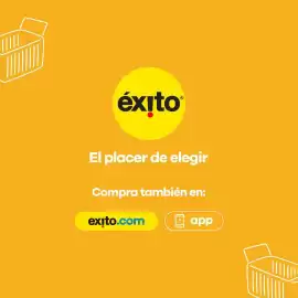 Catálogo Éxito Página 11