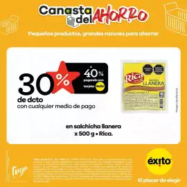 Catálogo Éxito Página 3