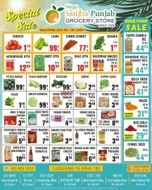 Mega Sanjha Punjab Grocery Store flyer week 30 Page 1