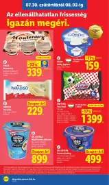 Lidl akciós újság hét 31 Oldal 10