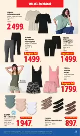 Lidl akciós újság hét 31 Oldal 41