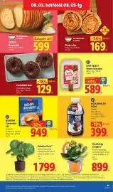 Lidl akciós újság hét 31 Oldal 45