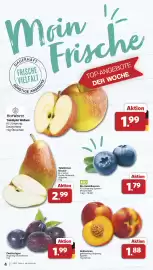 Famila Nord West Prospekt woche 31 Seite 4