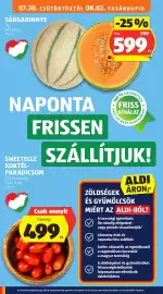 ALDI akciós újság hét 31 Oldal 16