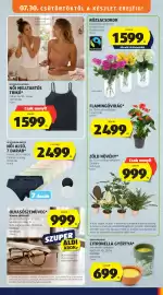 ALDI akciós újság hét 31 Oldal 39