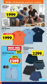 ALDI akciós újság hét 31 Oldal 42