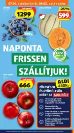 ALDI akciós újság hét 31 Oldal 9