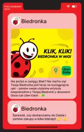 Biedronka gazetka Strona 20