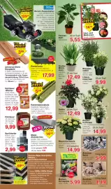 Wiglo Wunderland Prospekt woche 31 Seite 7