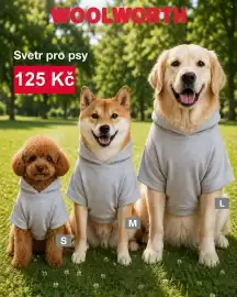 Woolworth leták Strana 2