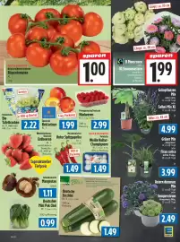 EDEKA Hahner Prospekt woche 30 Seite 7