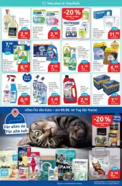 Budni Prospekt woche 32 Seite 4