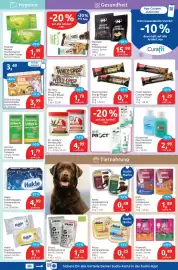 Budni Prospekt woche 32 Seite 5