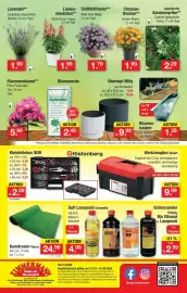 Zimmermann Prospekt woche 31 Seite 10