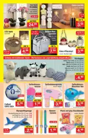 Zimmermann Prospekt woche 31 Seite 6