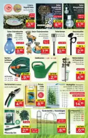 Zimmermann Prospekt woche 31 Seite 7