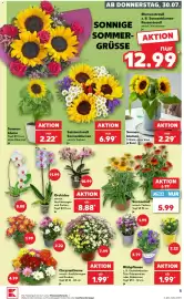 Kaufland Prospekt woche 31 Seite 5
