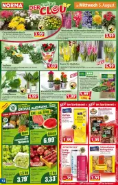 Norma Prospekt woche 32 Seite 12